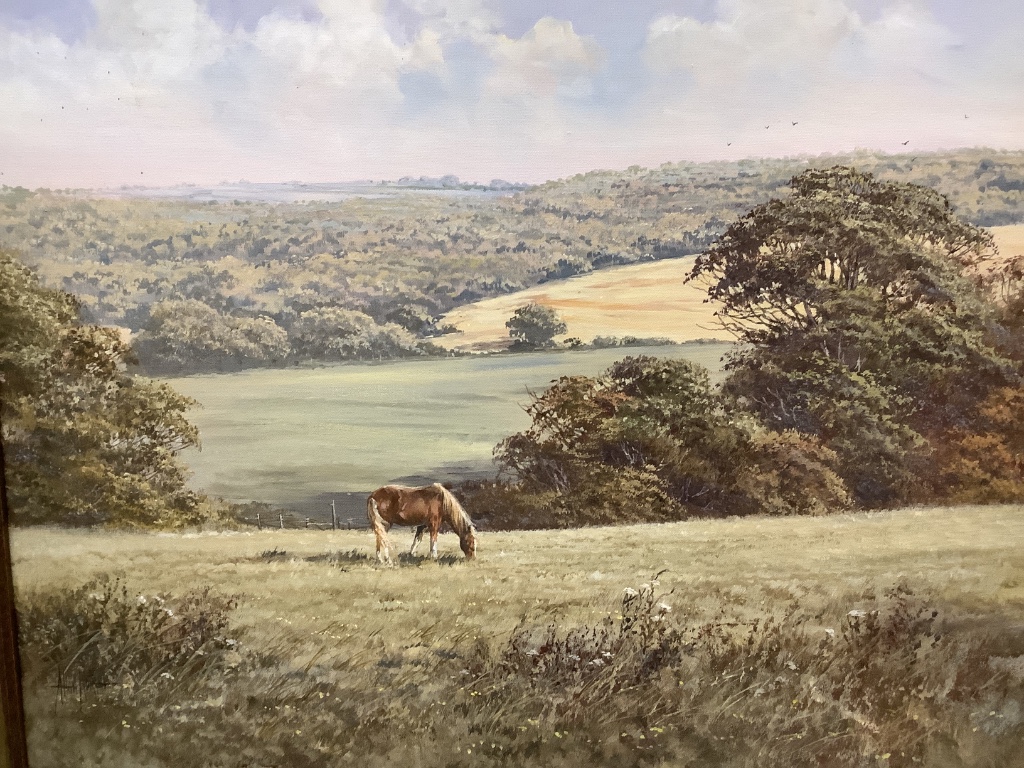 Allan Morgan (1952-), oil on canvas, Horse in a landscape, signed, 50 x 60cm